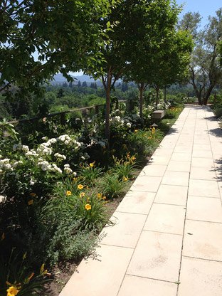 pathways