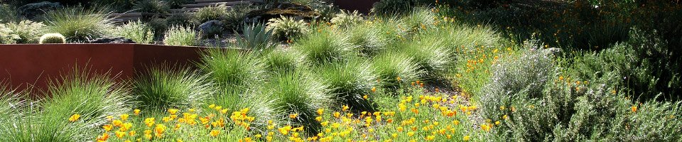 Careers, Skylark Landscaping