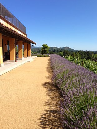 pathways